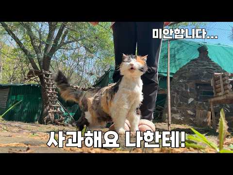 봄이에게 사죄합니다.