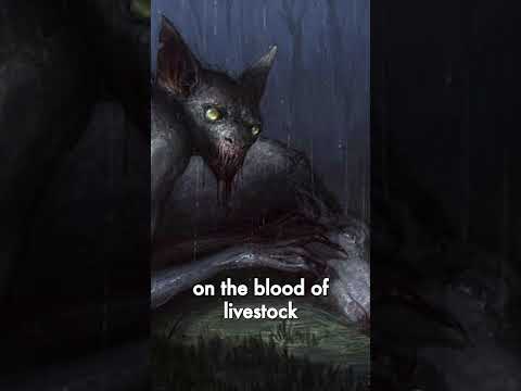 Legend of the Chupacabra