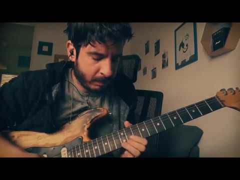 Pink floyd - Poles apart solo (cover)