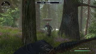 Unintentionally Turns Skyrim Into The Matrix With Steady Hand Perk at ...