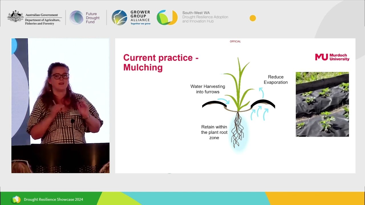 SMART SPRAYS: maximising the benefits from rainfall