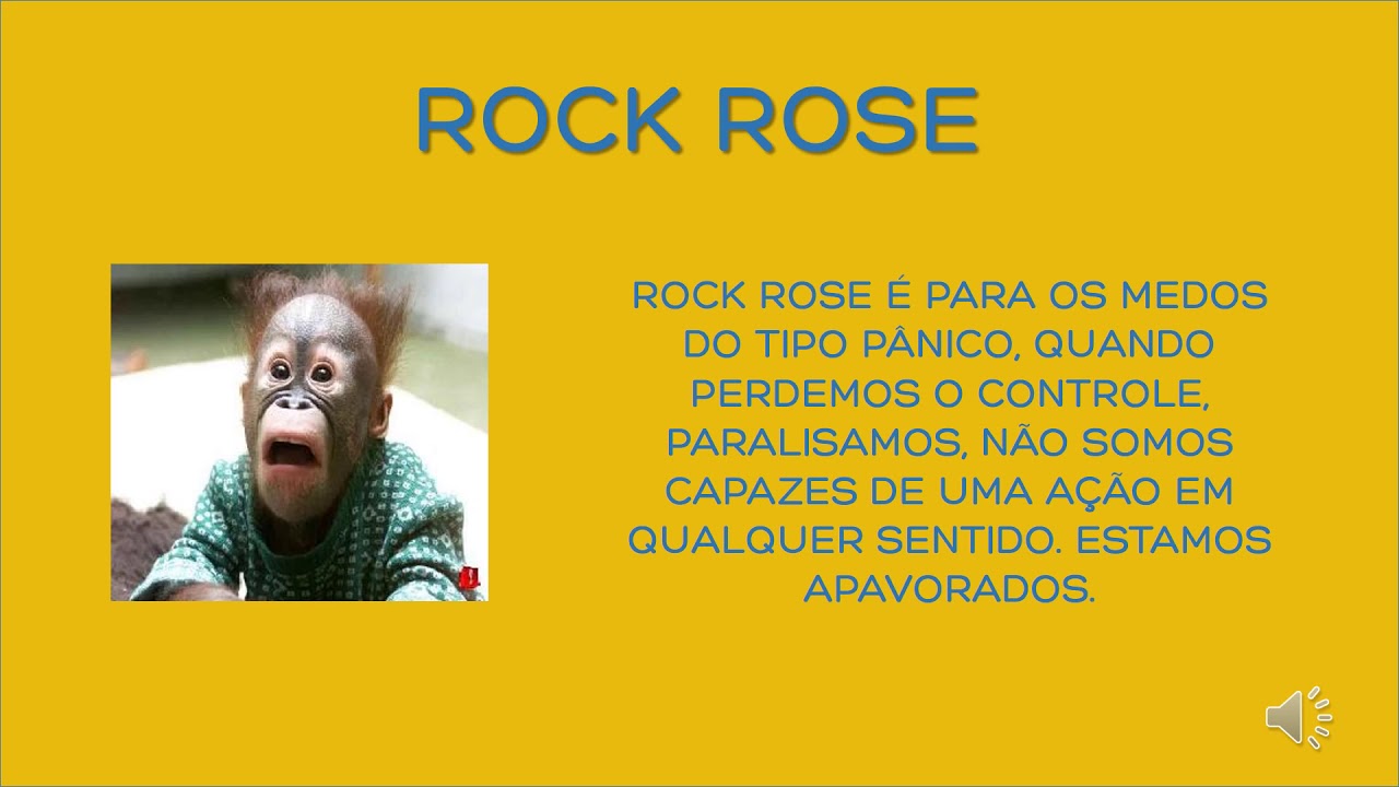 Solange Nunes Martins-6