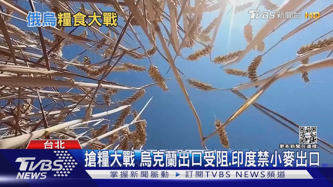 升級成糧食戰爭? 4億人糧倉出口受阻礙 這些「國家」影響最大