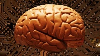 Explainer: How Many Megabytes Does Your Brain Hold?