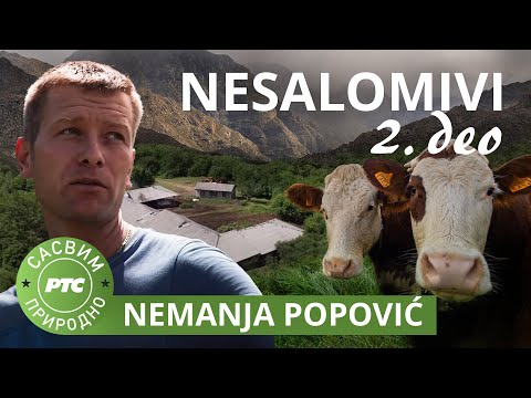 Sasvim prirodno: Nesalomivi 2. deo – Nemanja Popović (Jovan Memedović)