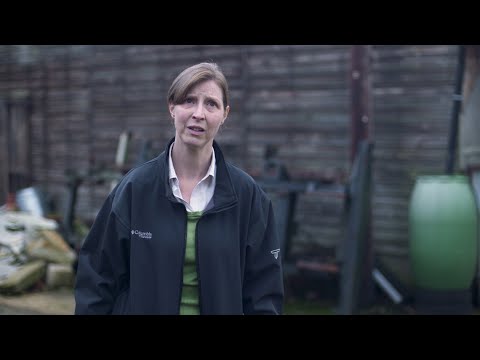 He's Doing Fine - Daniel Harding Showreels