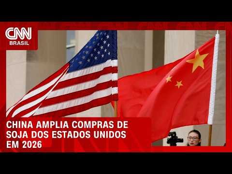 Compras de soja da China nos EUA cresceram 164% em julho | CNN AGRO NEWS