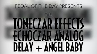 Video thumbnail for Toneczar Effects Echoczar Analog Delay (+ Angel Baby) by Pedal of the Day