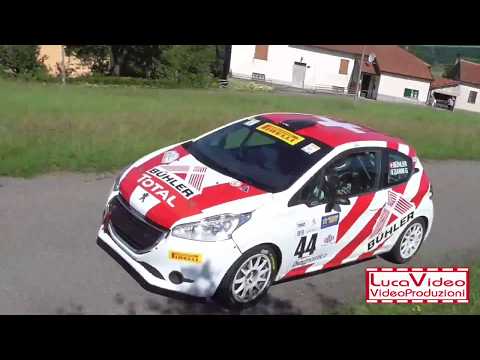 Passaggi esterni 25° Rally del Taro 2018 Buhler-Zanni 208 R2B