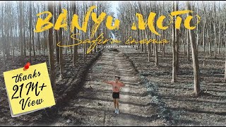 Download lagu Safira Inema - Banyu Moto - Dj Santuy Full Bass mp3