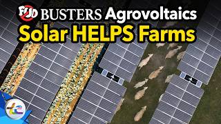 President Trump Is Wrong. Agrivoltaics Can HELP Farming Communities