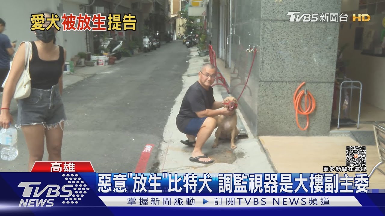比特犬被惡意「放生」 調監視器竟是大樓副主委