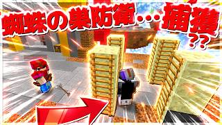 【Minecraft】敵の動きを止める蜘蛛の巣防衛を久々にやったら...ベッドウォーズ実況プレイ！