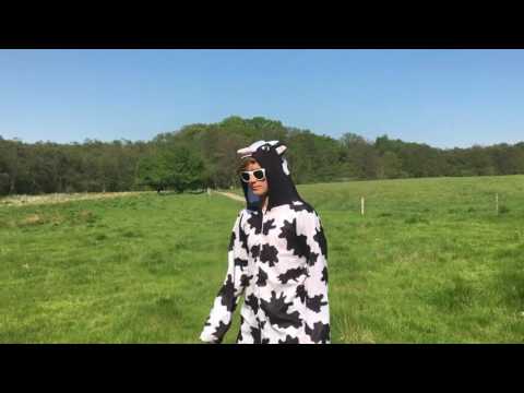 LVS 9.X/9.Y - Sidste Skoledag Introvideo (2017)