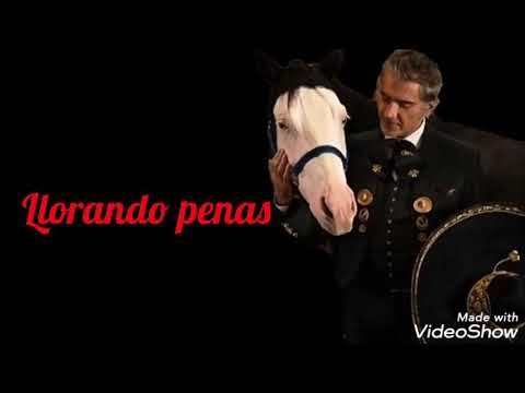 Llorando penas (letra) Rich* - Alejandro Fernández