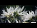 IMANY - Slow Down (Neo Mind Remix) (Music ...