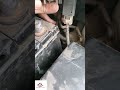 Battery Current Sensor