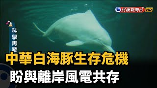 Re: [新聞] 台灣環保聯盟：三接遷離投不同意 支持經