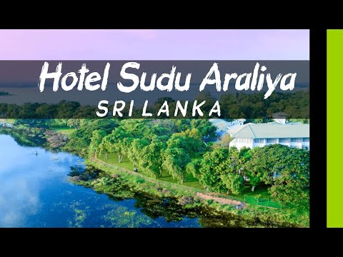Hotel Sudu Araliya POLONNARUWA | Luxo 4 ⭐| Sri Lanka | 🇱🇰