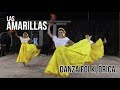 Las amarillas - Baile folklorico de Rosario Herrera