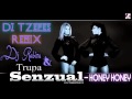 Trupa Senzual ft Dj Rabinu Honey Honey Dj ...