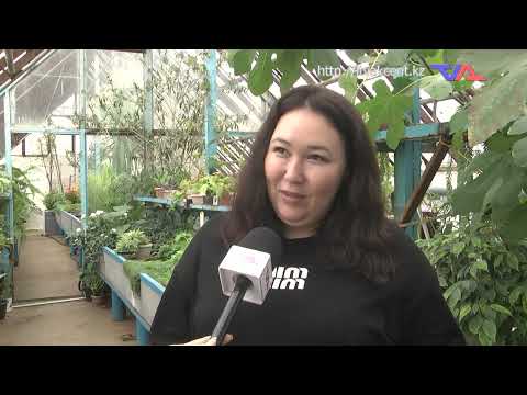 Выпуск программы “День” от 27 февраля 2025г.