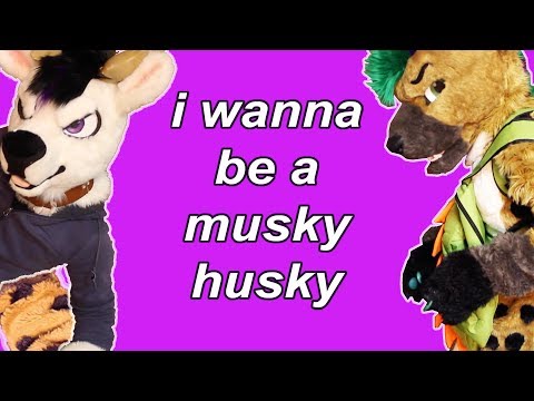 download lagu mp3 mp4 Musky Husky, download lagu Musky Husky gratis, unduh video klip Musky Husky