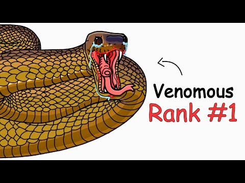 Why It Sucks to Be Born as a Inland Taipan