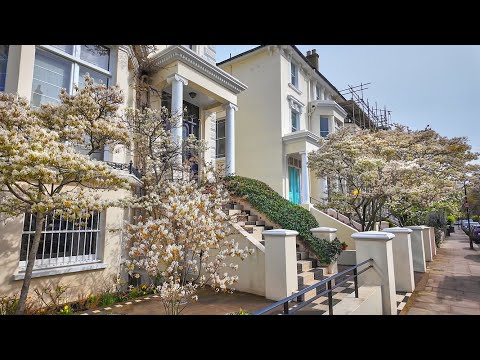 London Spring Walk 2024 🌸 Swiss Cottage Cherry Blossoms to Belsize Park & Hampstead Village [4K]