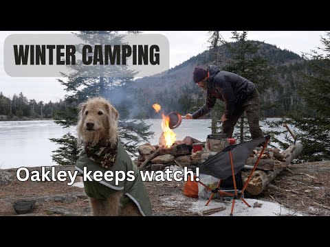 Winter camping by a frozen lake with Oakley my dog.