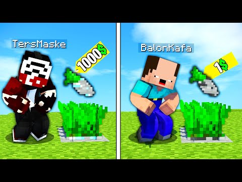 BALON KAFA İLE 1000$ HAVUÇ YAPTIK ! - Minecraft