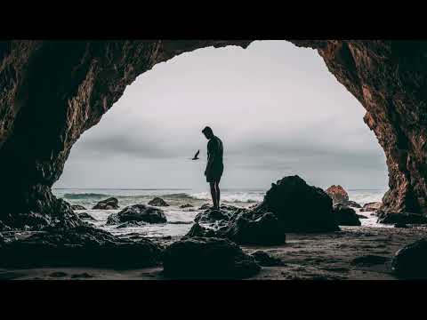 Hardwell Ft. Jake Reese - Run Wild (Manse Remix) (Lyrics in CC)