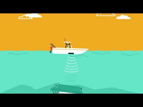 Waves and the Earth: Understanding Sonar for #neet  and #jee  Exams