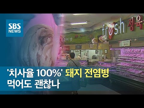 , title : ''치사율 100%' 악명 높은 돼지 전염병…먹어도 괜찮나 / SBS'