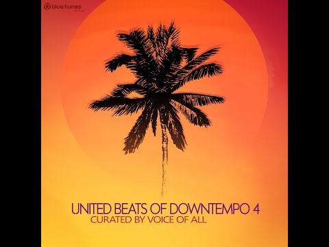 2020 - V R 1 (Electronic Emotions Remix) - Official