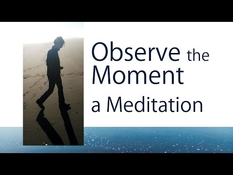 Observe the Moment a Meditation