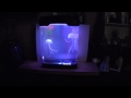 10 inch Jellyfish Mood Lamp 