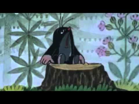 calmyourtits’s Video 32507172539 vqi9vMyHtPA