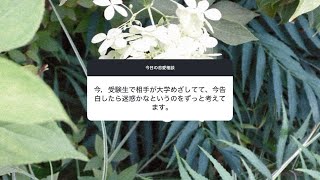 【恋愛相談】相手が受験生で大学を目指していて、今すぐに告白したら迷惑かなとずっと考えてしまいます。