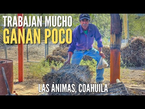 ONLY 3 FAMILIES LIVE HERE, SIERRA DE COAHUILA