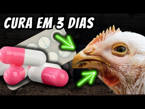 , title : '(CURA EM 3 DIAS) Como curar o Gogo, Coriza infecciosa e Tifo aviária definitivamente.'
