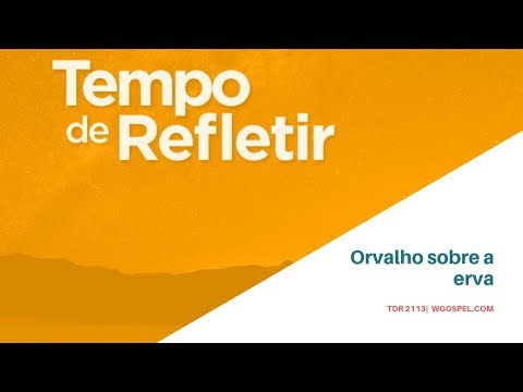 Tempo de Refletir 2113 - Orvalho sobre a erva