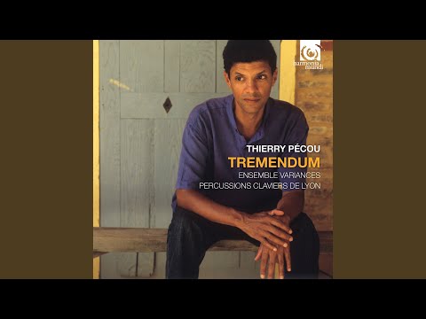 Soleil-Tigre (2009) pour violoncelle et piano