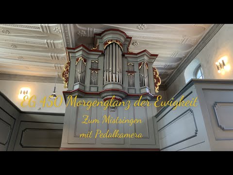 EG 450 Morgenglanz der Ewigkeit |zum Mitsingen| |mit Pedalkamera|