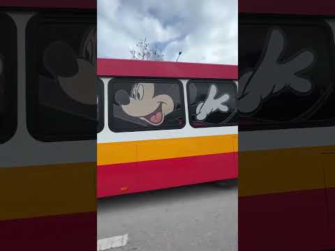 #bus #buses #driving #transport #wow #best #awesome #mickeymouse #amazing #disney #video #shorts
