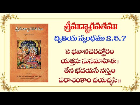 Śrīmad-Bhāgavatam (Bhāgavata Purāṇa) 2.5.7 | by HG Revati Raman Prabhu | 14 August 2022