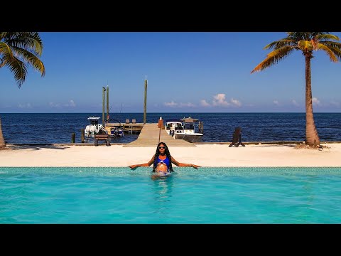 Krooked Treez - Unwine (Official Music Video)