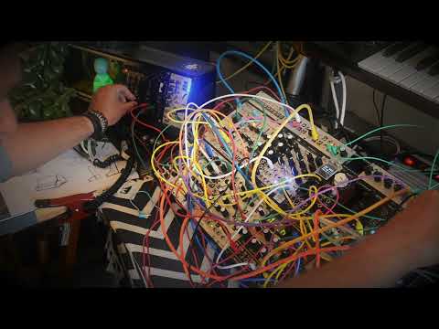 TMWSP / BRAIDS renaissance firmware / Patching Panda Punch / ...