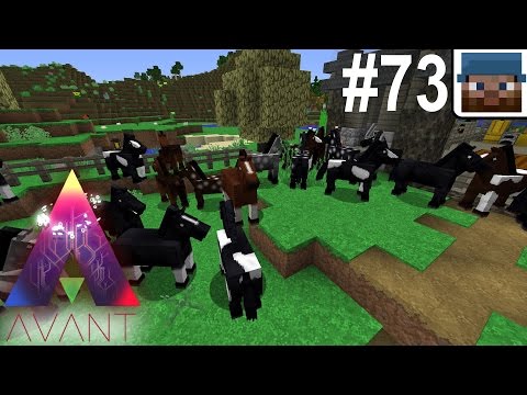 FTOG Avant3 #73 - Pony Palace