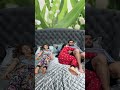 OMG He Doesn T Want To Sleep Shorts Best Video By MoniLina
